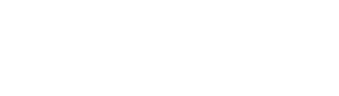 Governt Icon Logo